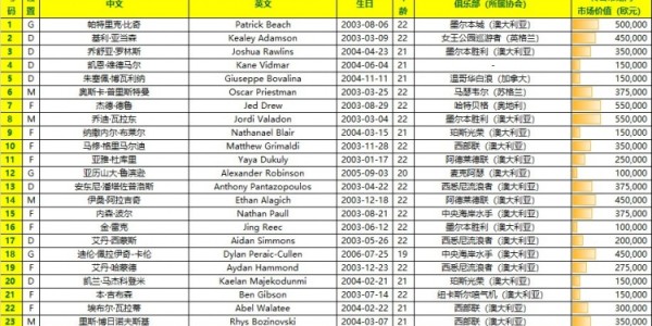 开云娱乐-U23亚洲杯预选赛参赛阵容：中国、澳大利亚、北马里亚纳及东帝汶队公布